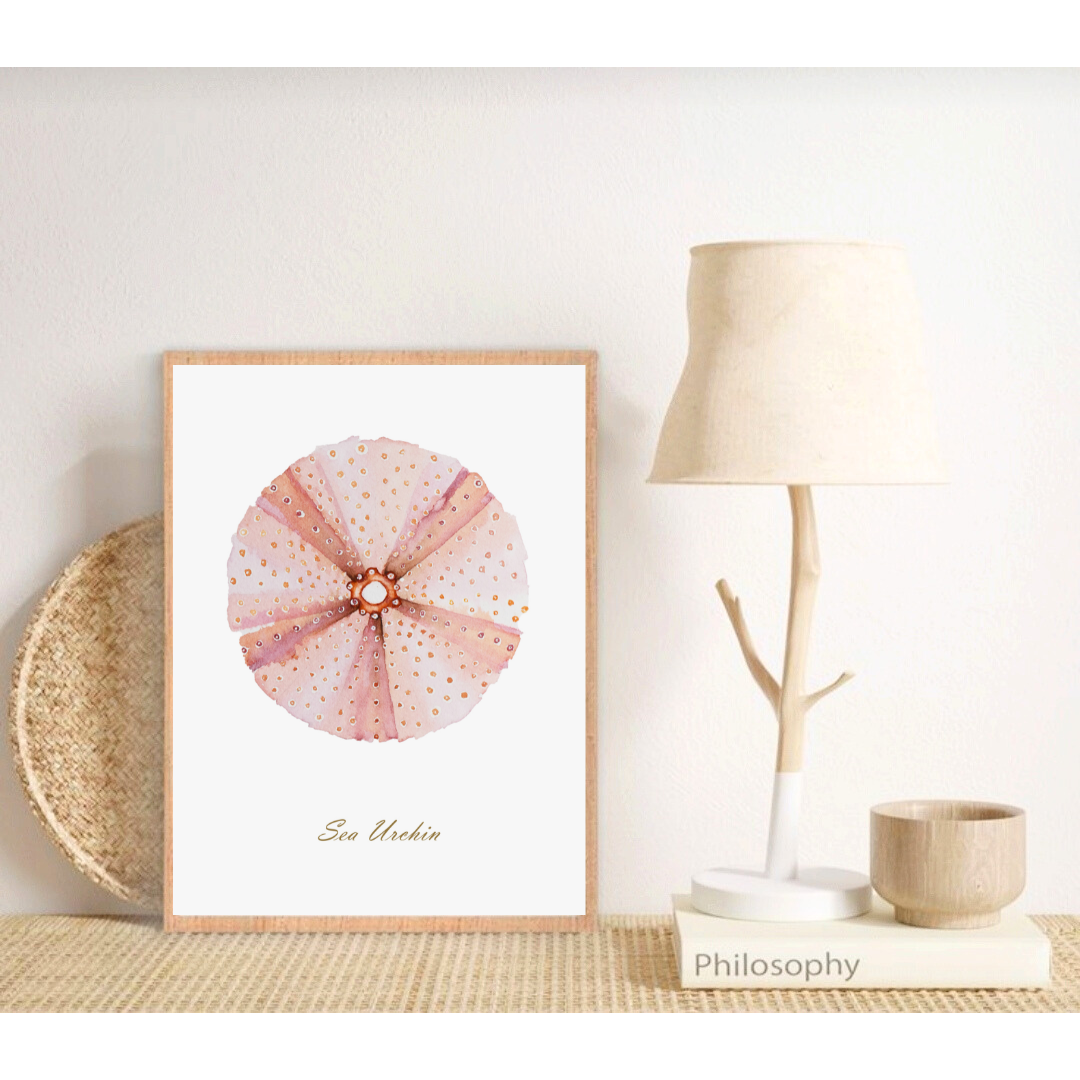 Watercolor Set “Starfish”and “Rosé Sea Urchin”